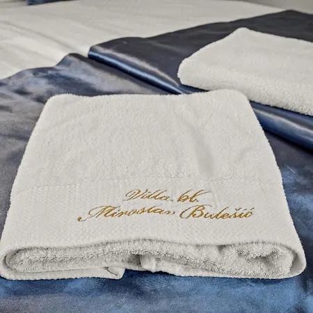 Blazeni Miroslav Bulesic In Istria For 8 People With Private Heated Pool And Sauna Vila Vranje Selo